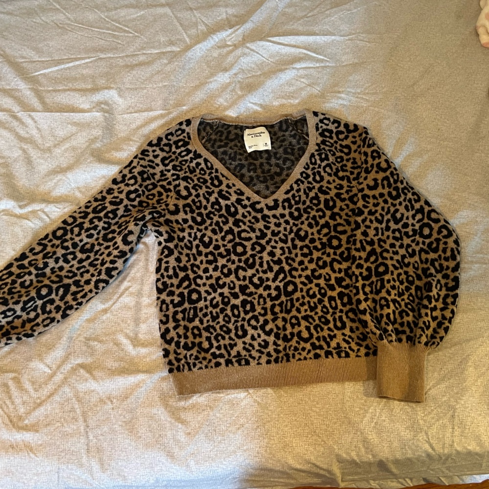 Abercrombie & Fitch Leopard Print V Neck Sweater